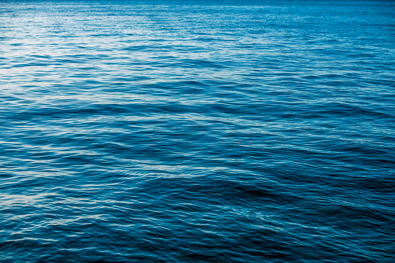 a calm ocean