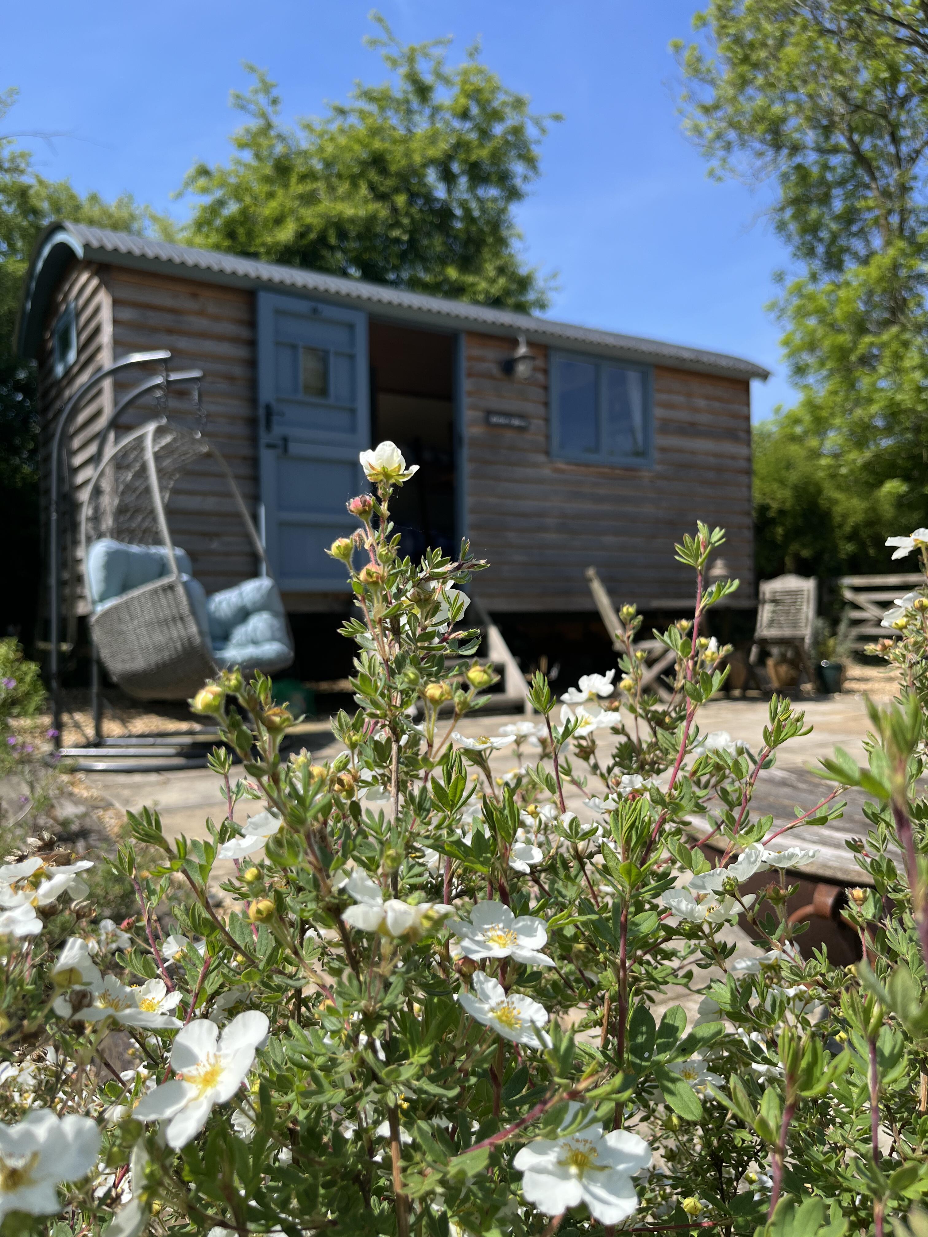 image of a luxury wilderness retreat