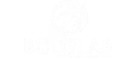 Logo with stylized person running inside a circle above the word "BODYLAB" in bold letters.