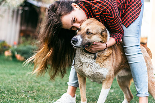 Brunette woman in a red flannel holding and kissing a large brown dog