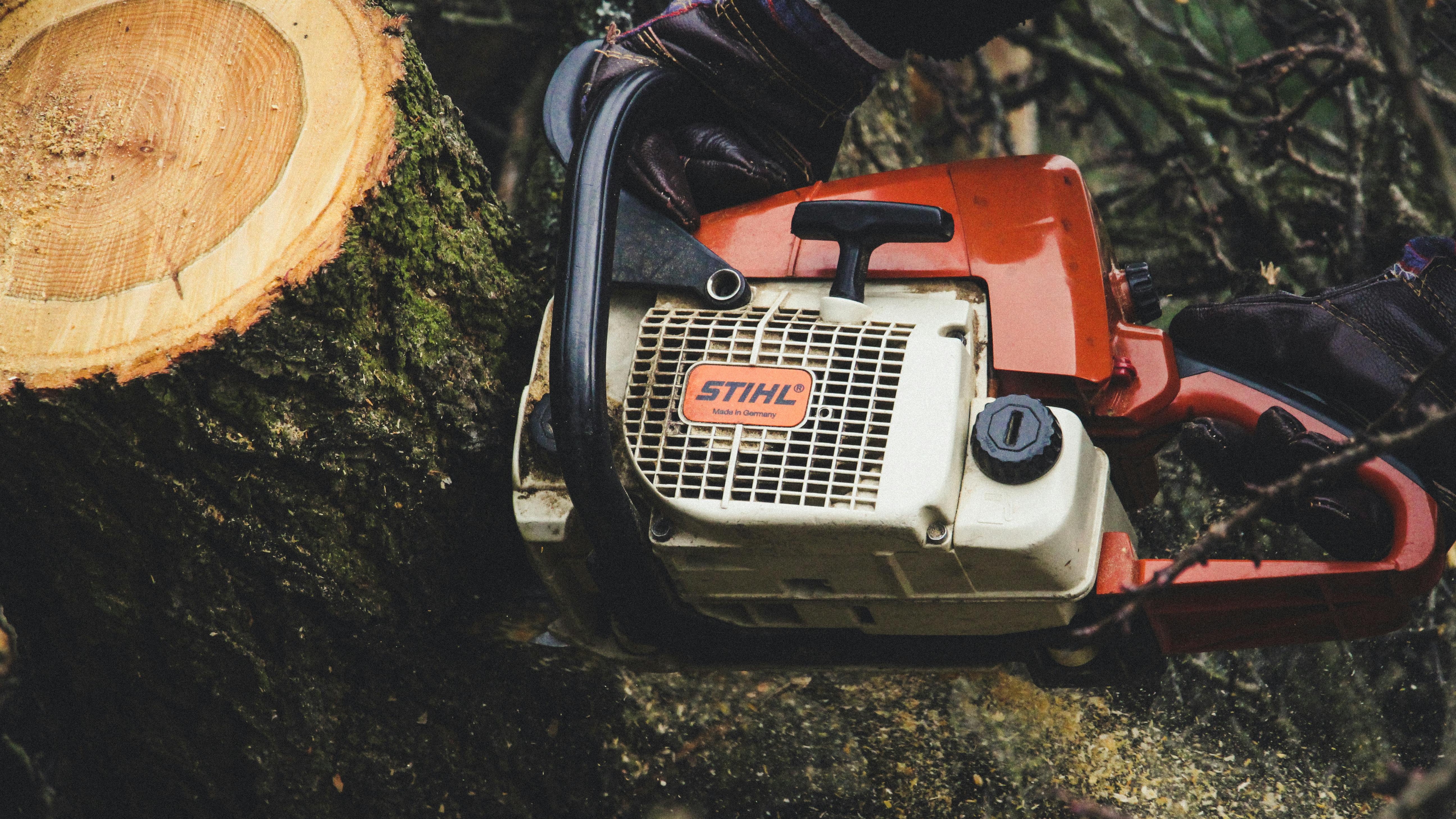 Chainsaw cutting through a log