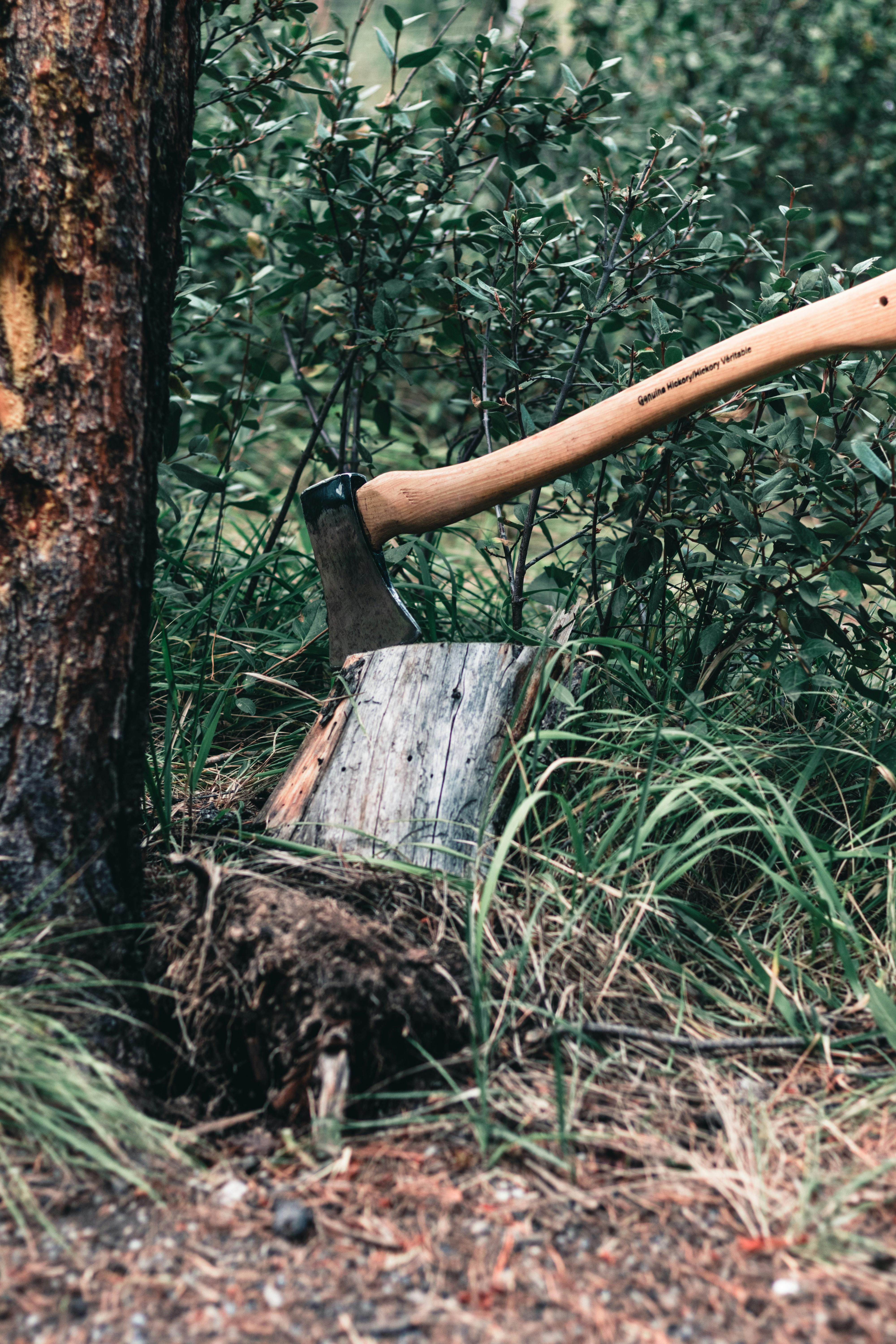 Axe stuck in a stump