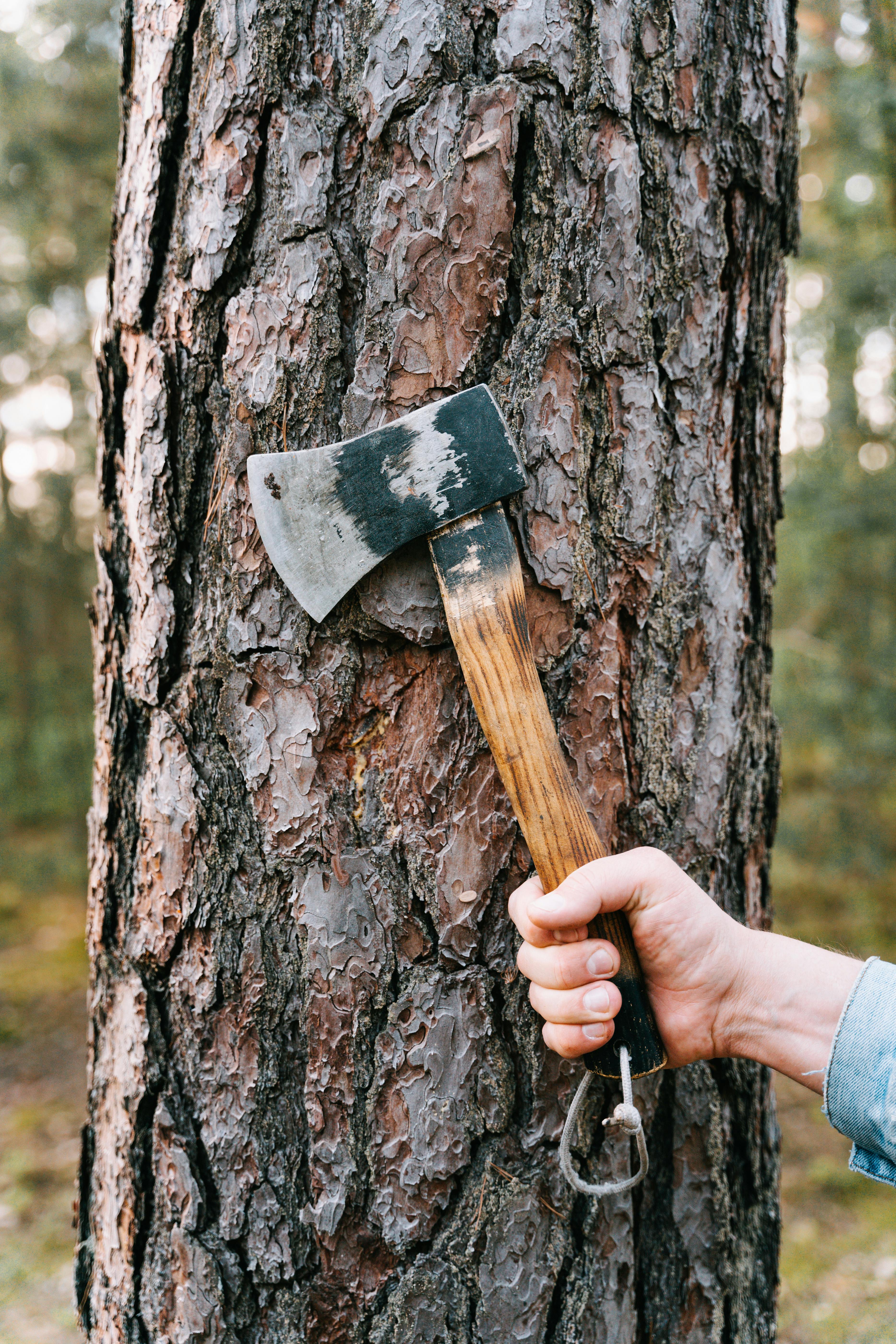 Man holding axe against a tree