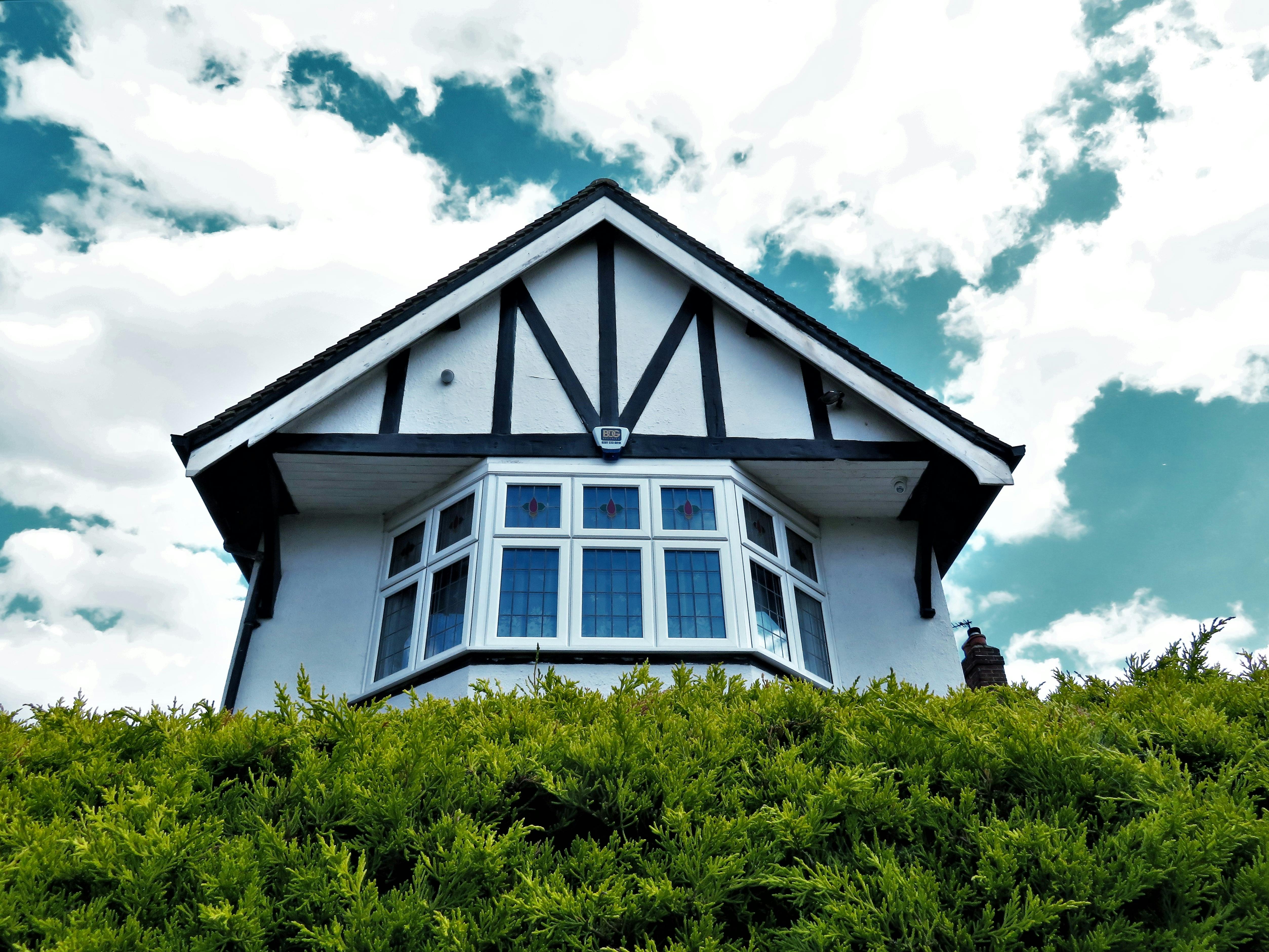 Row of hedges in front of a house