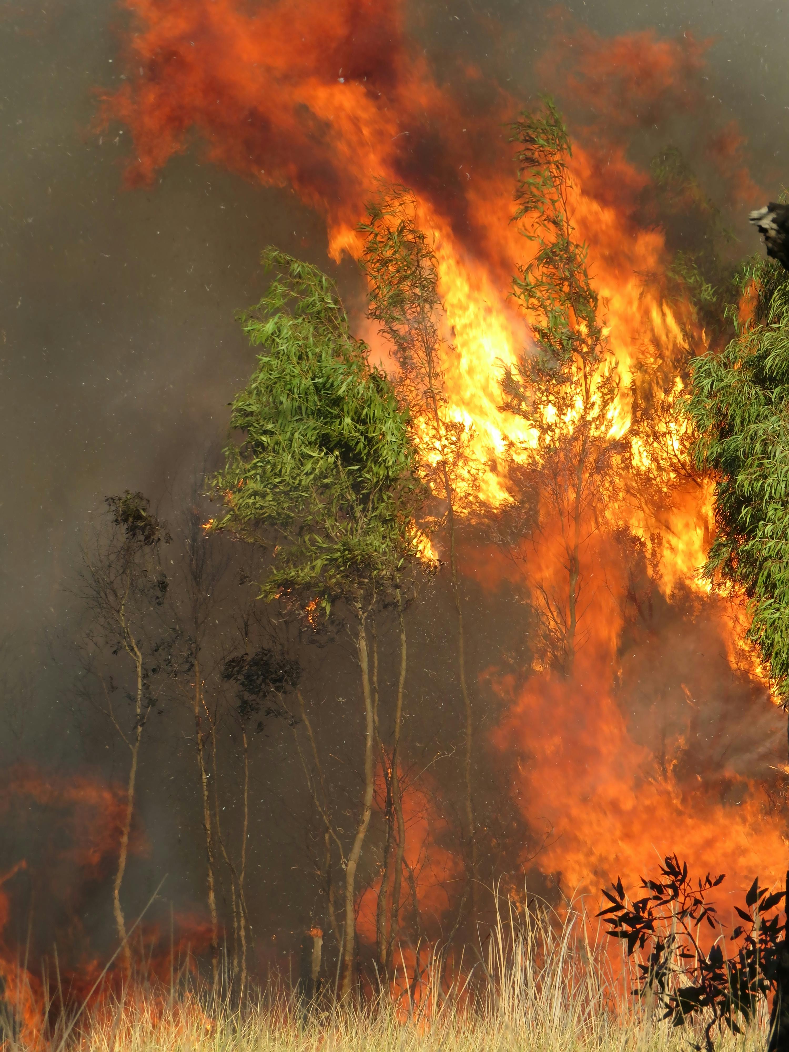 Out of control wildfire