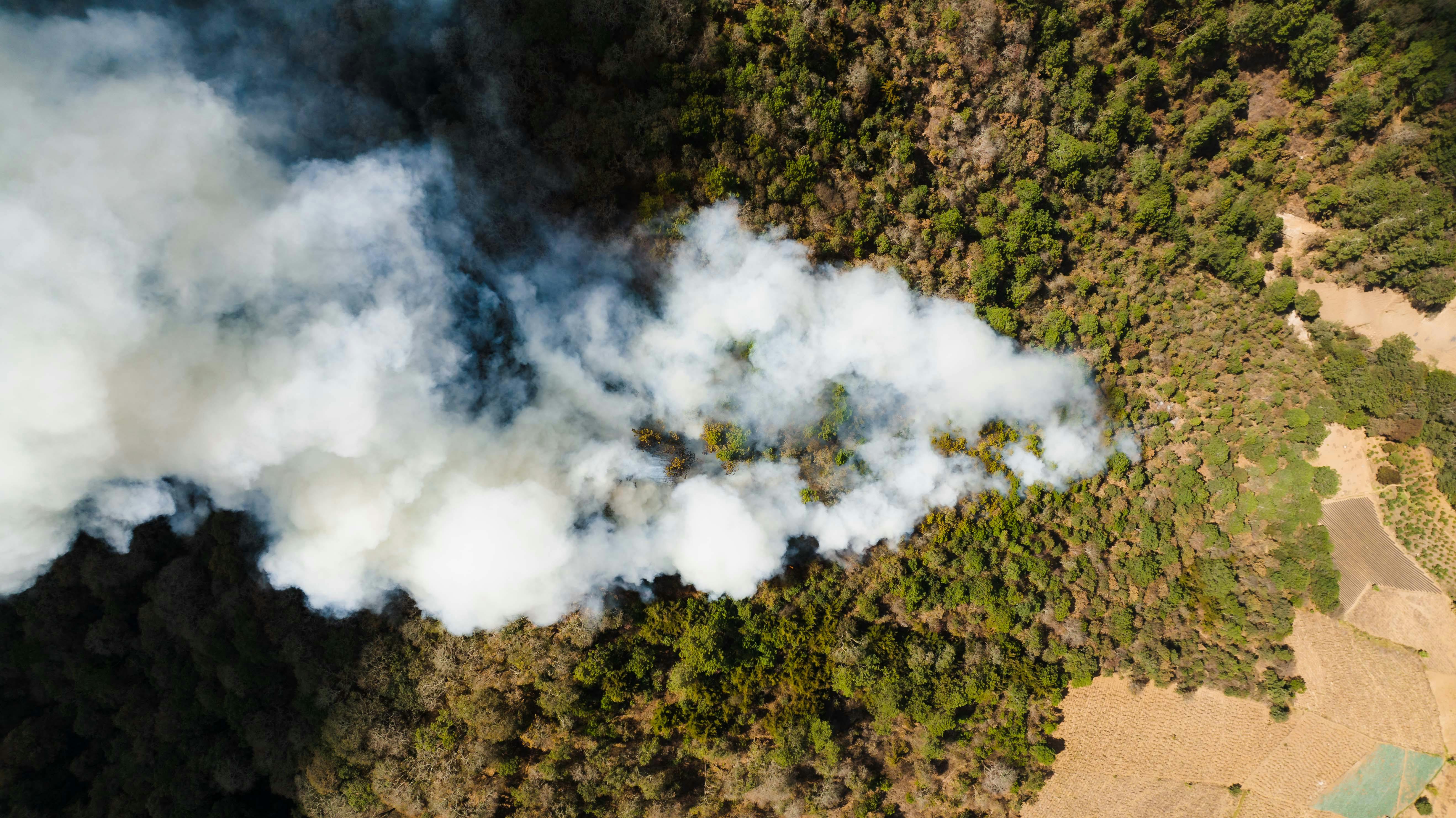 Wildfire drone view