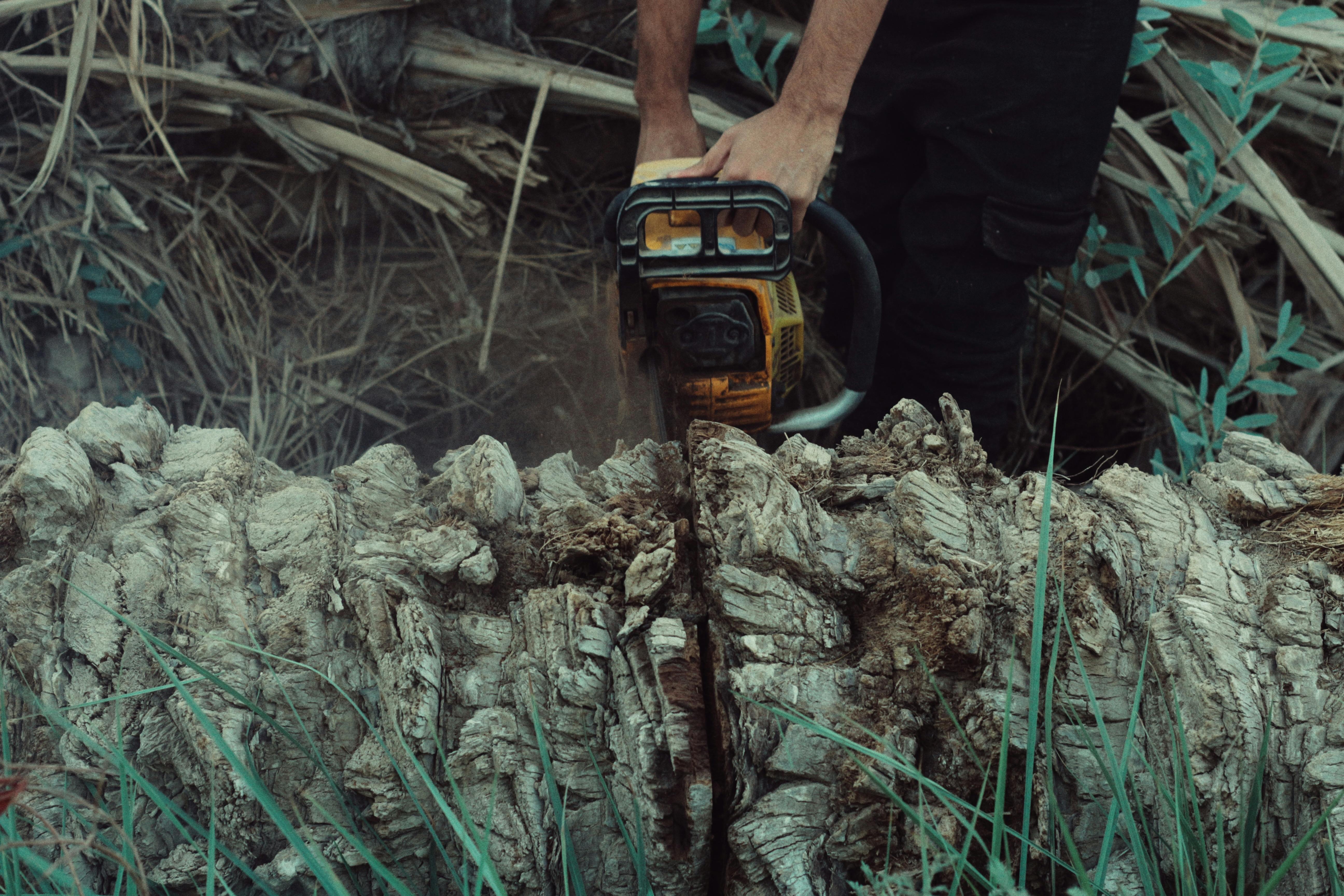 Chain sawing though a log