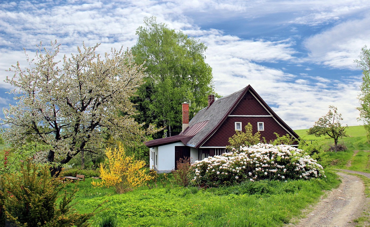 A House with trees