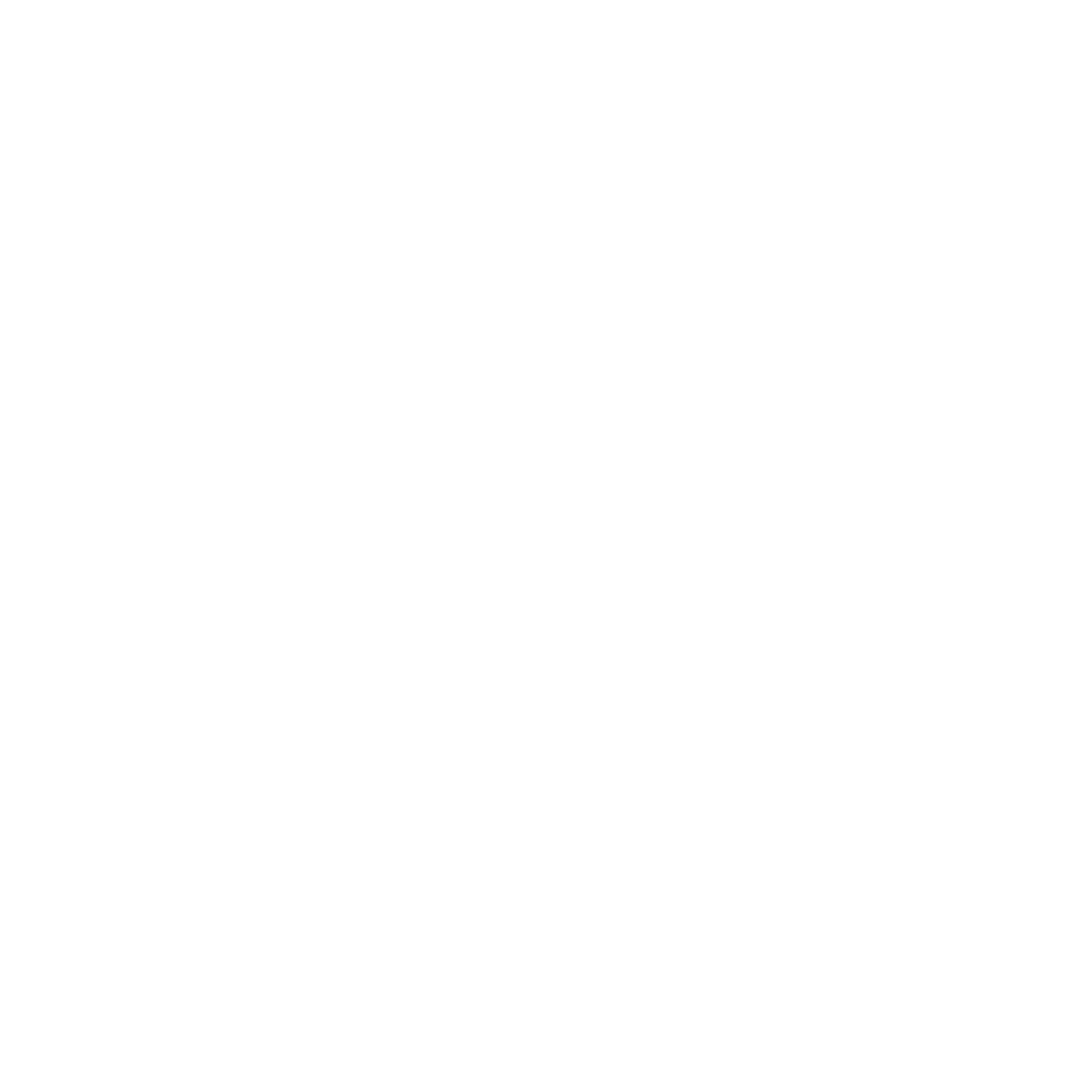 Instagram icon in white on a transparent background