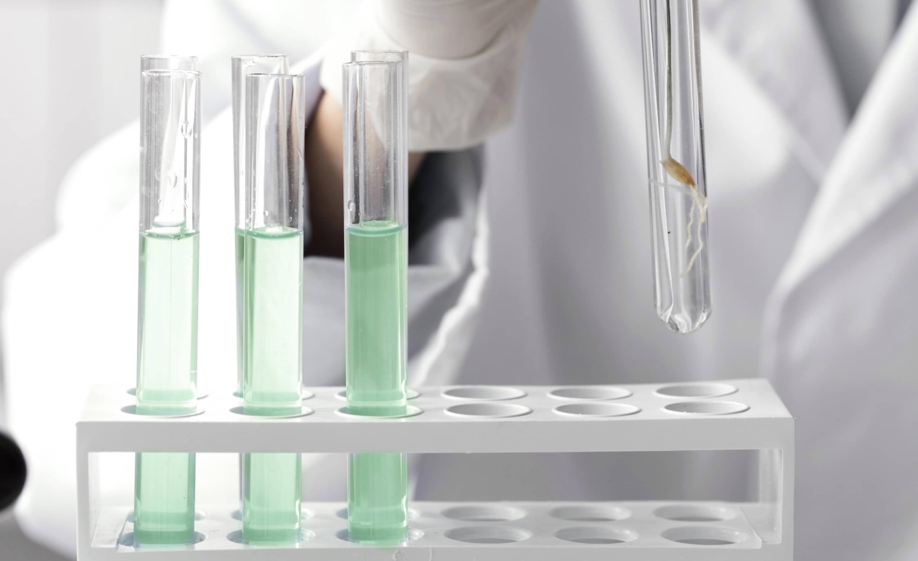 Test Tubes With Samples - DNA X Webflow Template