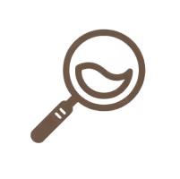 Magnifying Glass Icon 