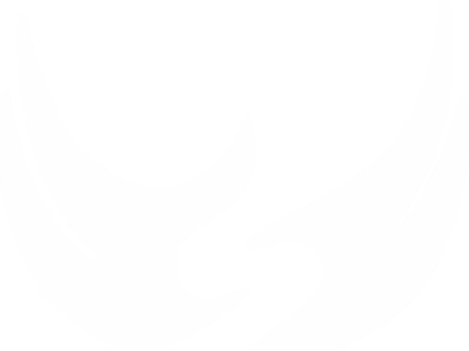 White stylized symmetrical bird wings forming a heart shape on black background.