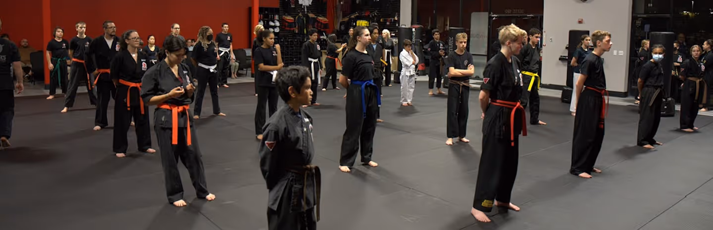 Group of martial arts students in black uniforms with colored belts standing in a training gym.