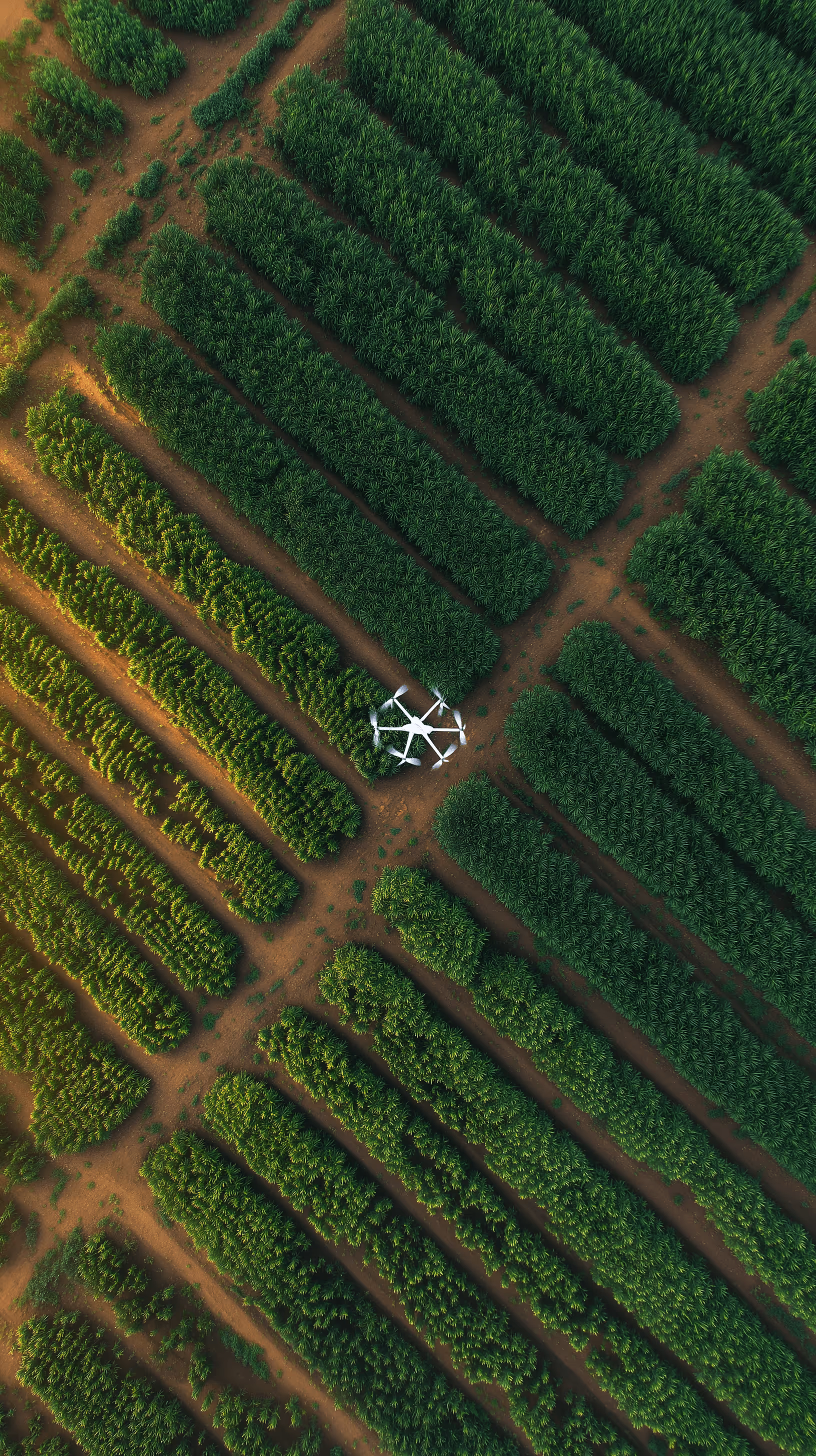 Agricultural technology drone, precision farming and biotech innovation in food production