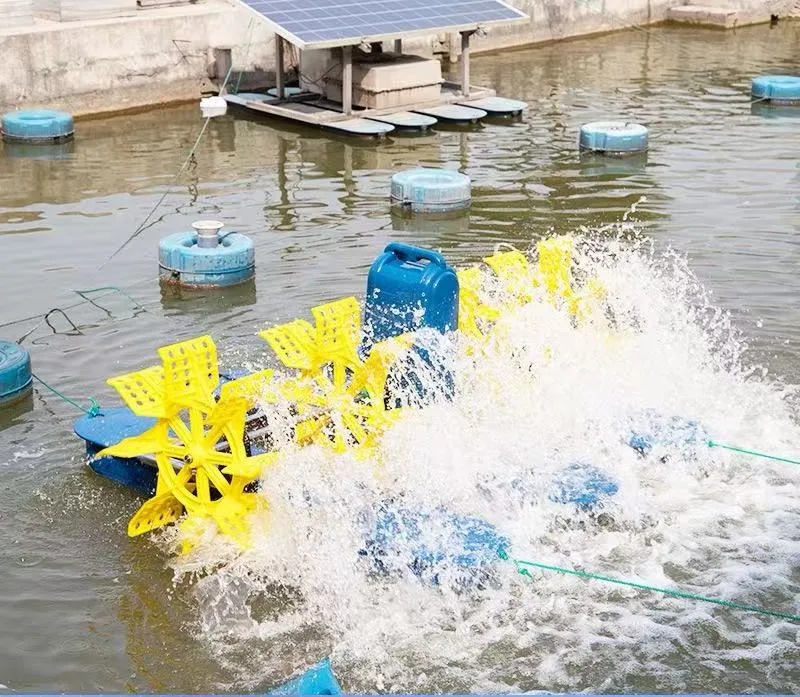Singpore Crawfish - Farming equipment