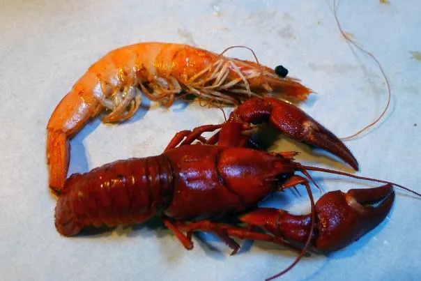 Difference between crawfish and prawn