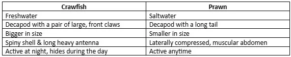 Difference between crawfish and prawn