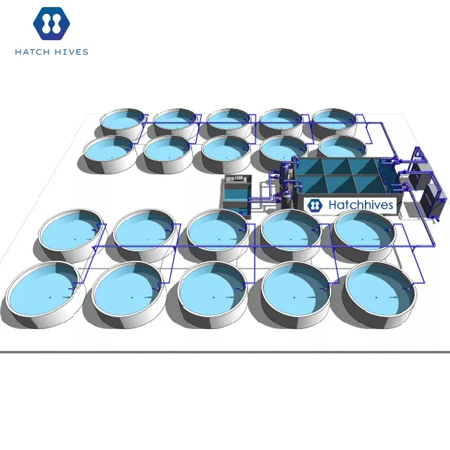 Customized Aquaculture Solutions Revolutionizing the Future of Aqua Farming