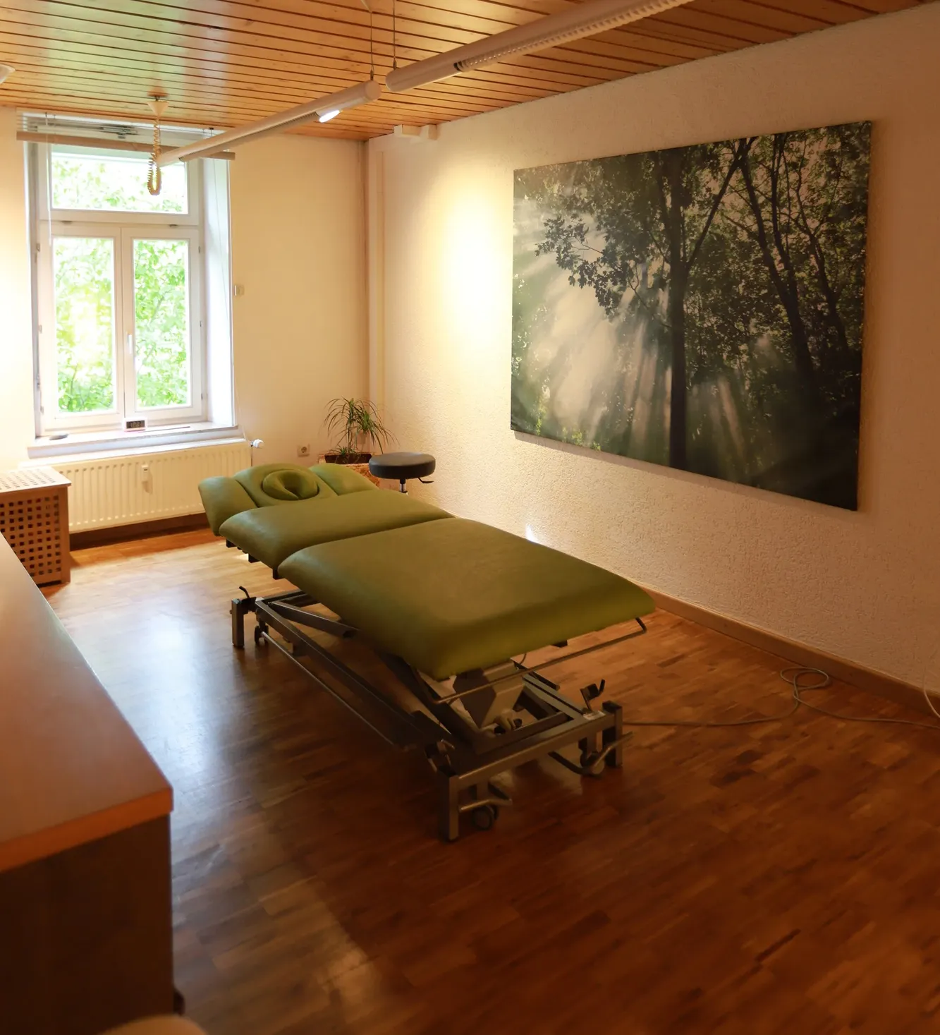 Therapy room with green padded treatment table, wooden floor, large window, and nature-themed wall art.