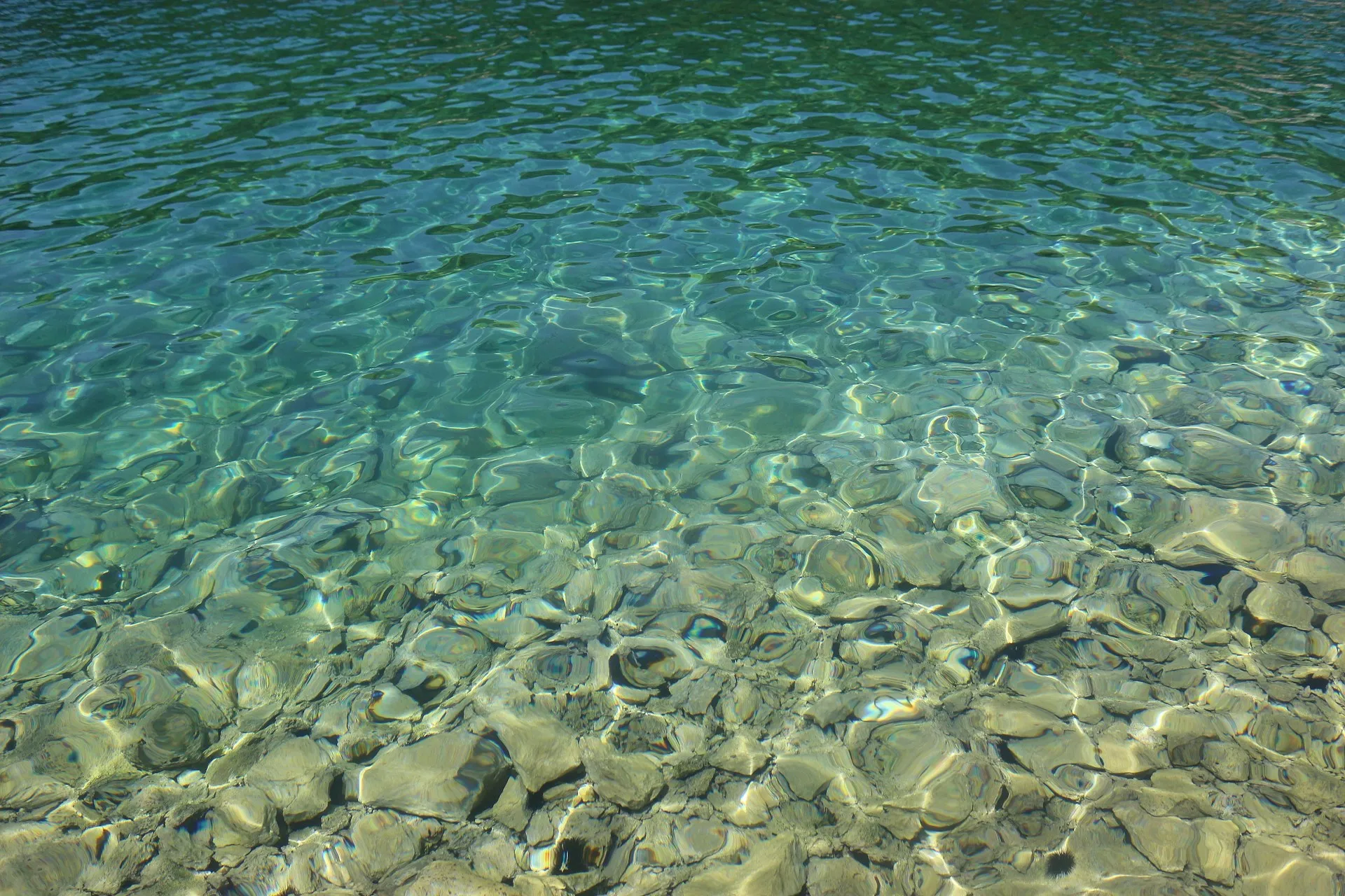 Clear water with visible stones beneath the surface reflecting sunlight.