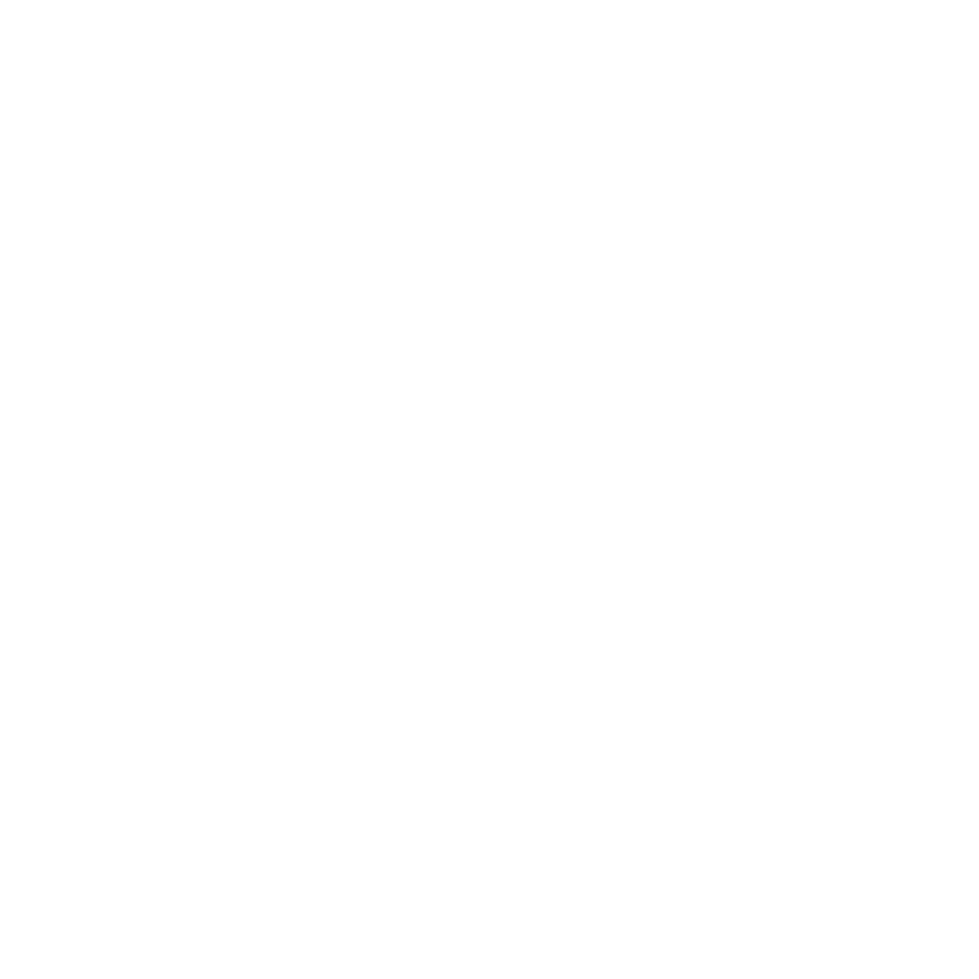 VIPShaadi.com
