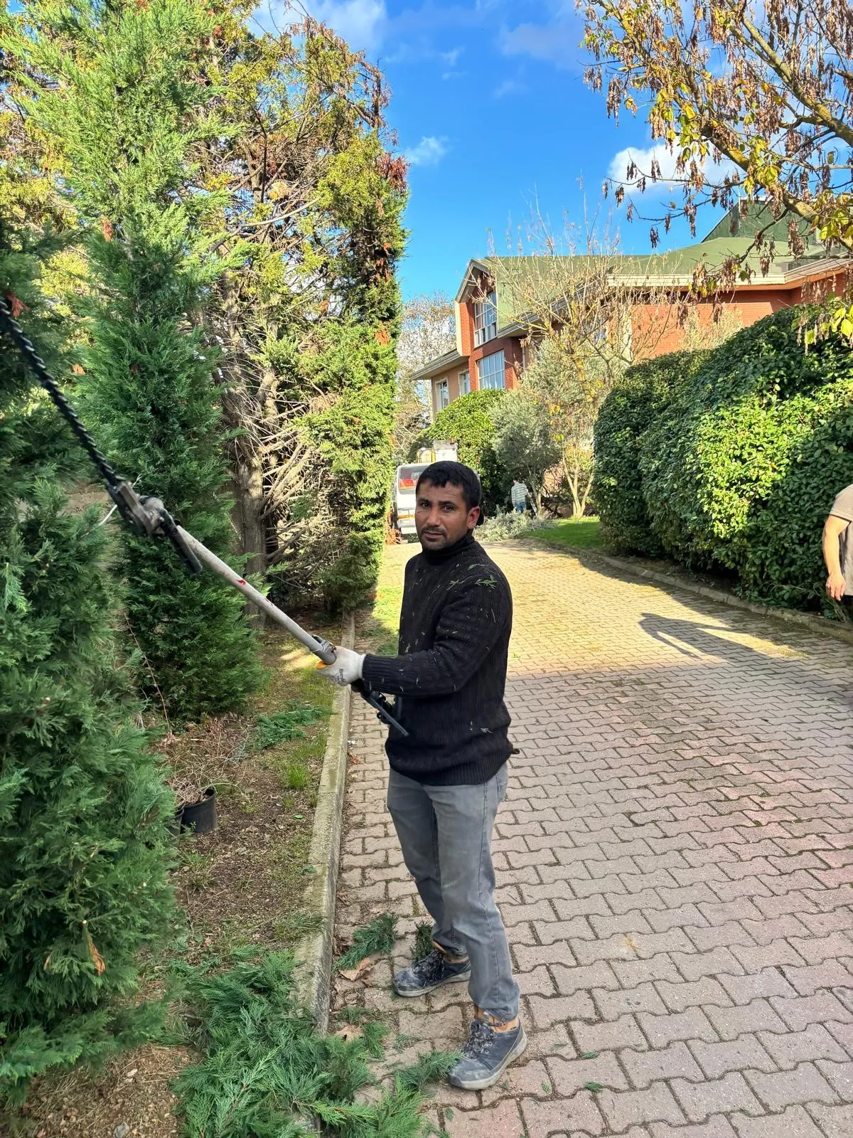 Siyah kazak ve eldiven giyen bir adam, güneşli bir günde kaldırımda uzun bir budama makasıyla uzun yeşil çalılıkları buduyor.