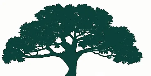 Açık renk bir arka plan üzerinde, yoğun yapraklı, geniş ve yayvan bir ağacın silueti.