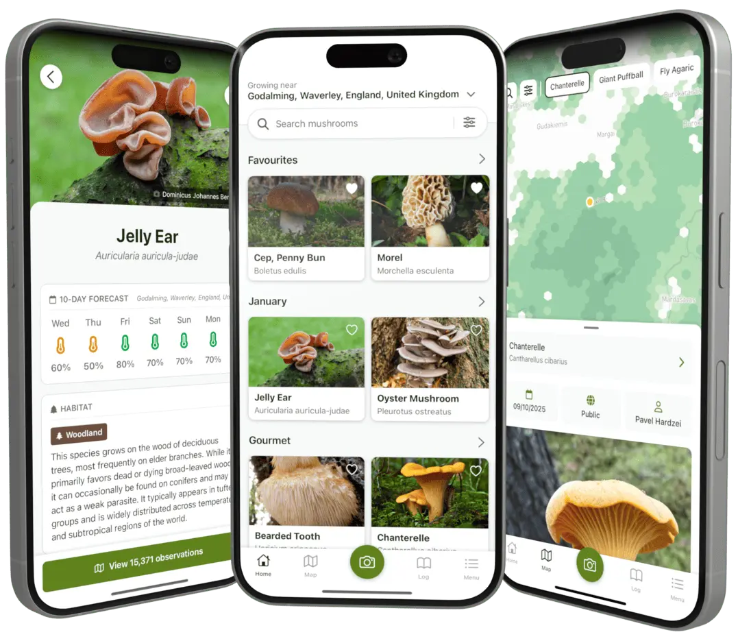 Screenshots showing home, species and map views