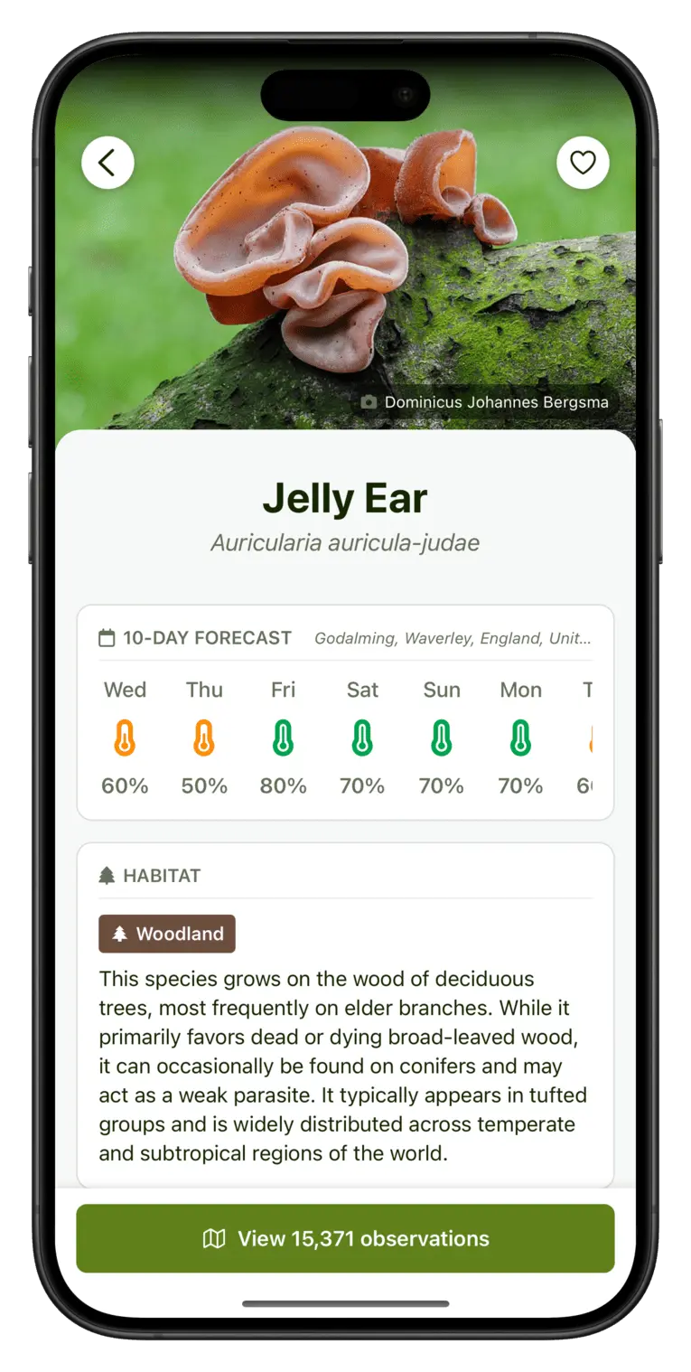 Screenshot showing growth forecast