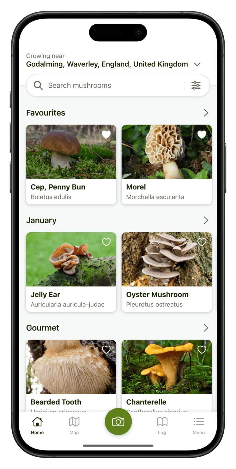 Screenshot showing Home tab