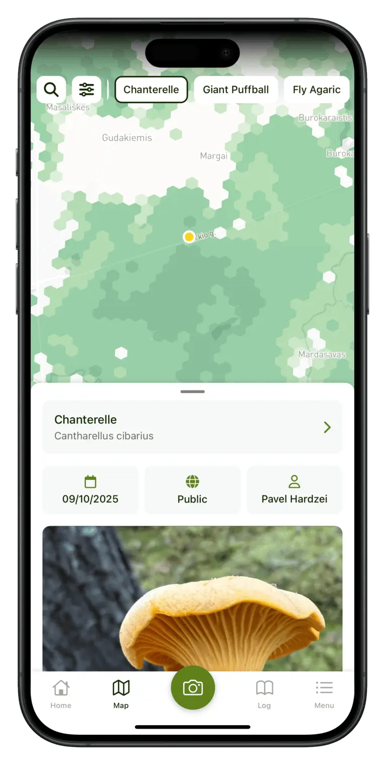 Screenshot showing Map tab