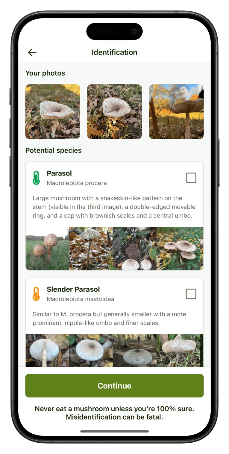 Screenshot showing Map tab