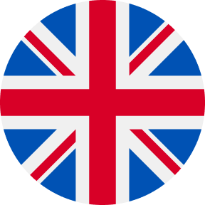 Current language flag
