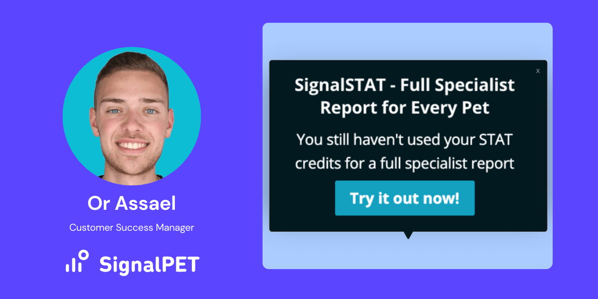 User engagement loop showing 4 main main stages of engagement: initial motivation, action, feedback and/or reward, and an emotional response. 