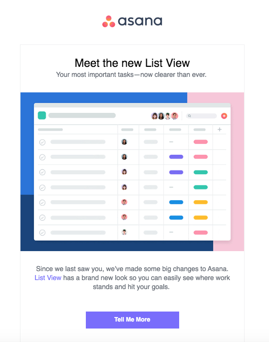 asana re engagement customer retention email example
