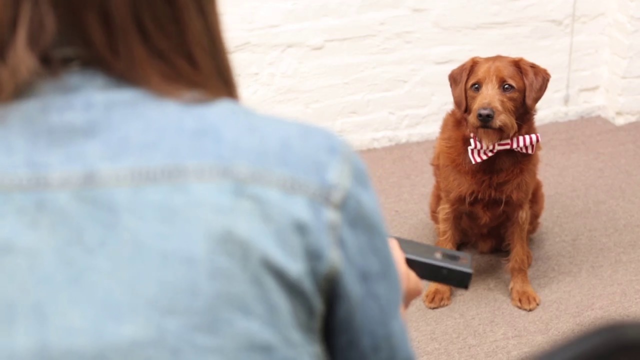 Wistia video thumbnail - Lenny Delivers Video