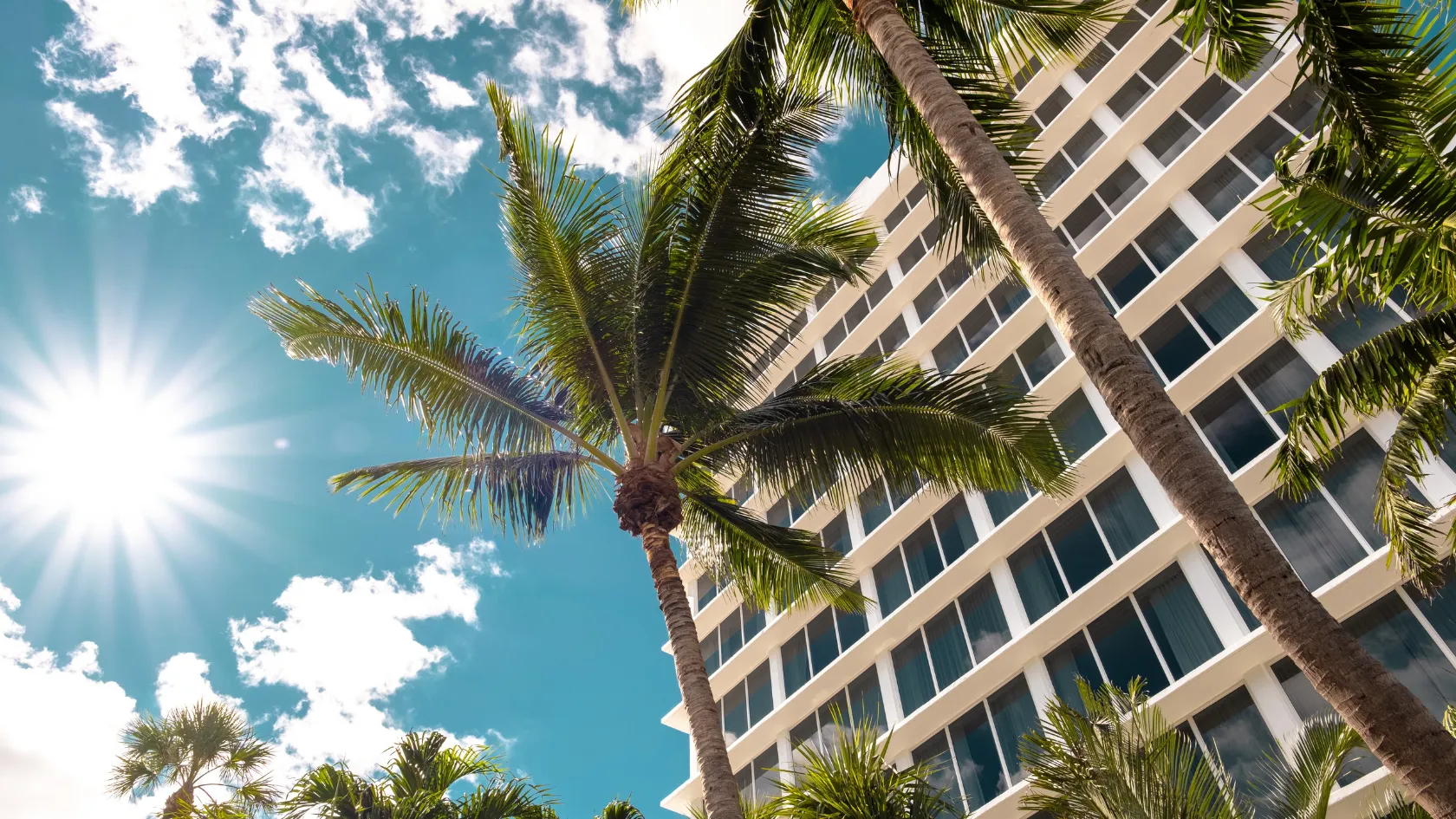  Why We Chose Miami