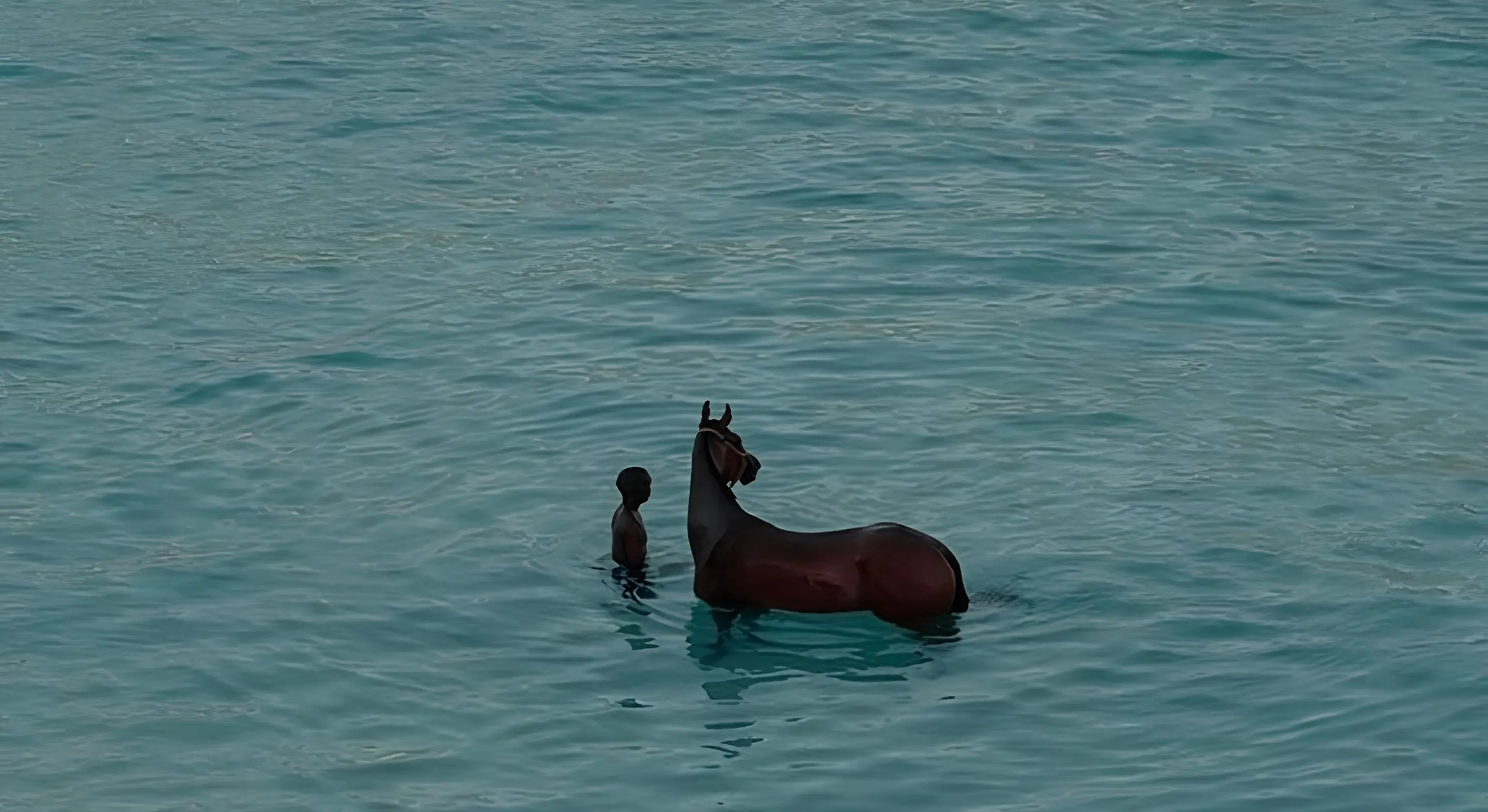 A child and a horse standing in calm turquoise water.