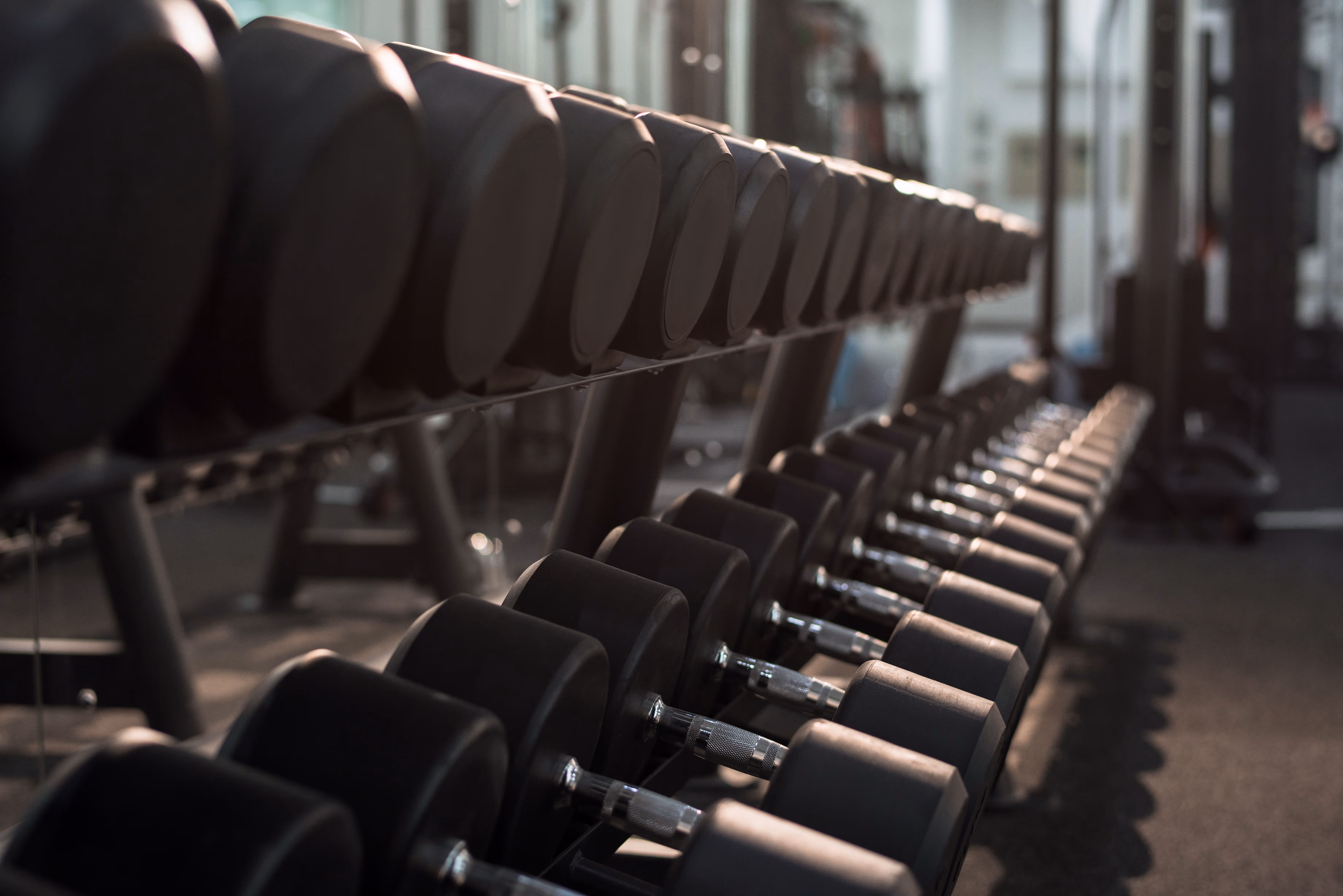 A row of black dumbbells in a gym.