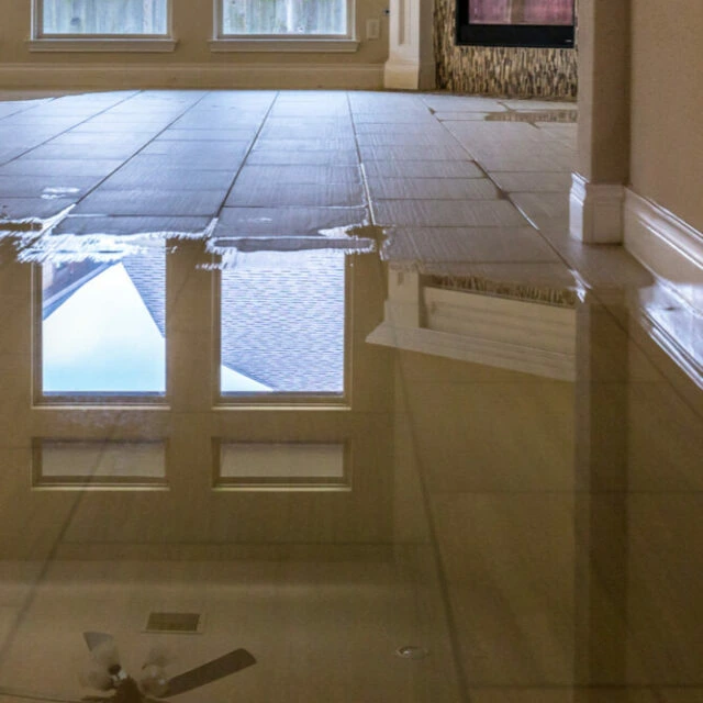 Wet floor with water puddles reflecting windows and interior room details