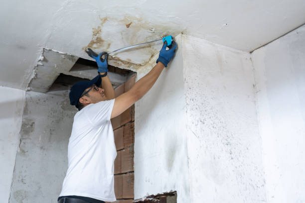 Worker repairing water damaged ceiling with tools and protective gloves