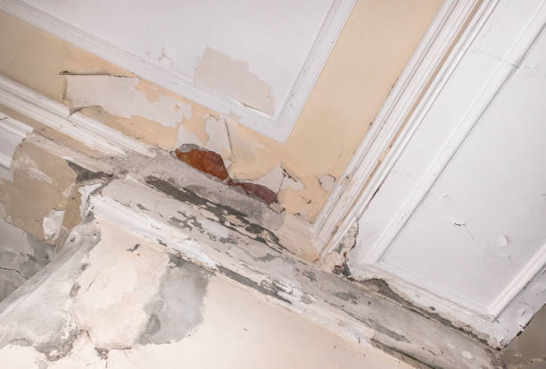 Damaged ceiling corner with peeling paint and cracked plaster
