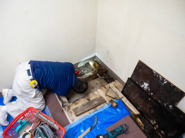 Worker in protective gear repairing or investigating damaged area with tools