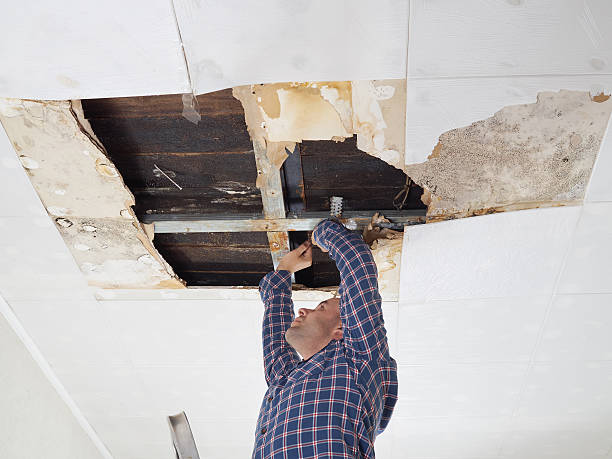 Person repairing damaged ceiling with exposed wooden beams and plaster