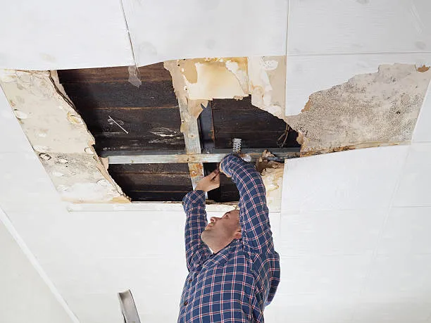 Person repairing damaged ceiling with exposed wooden beams and plaster