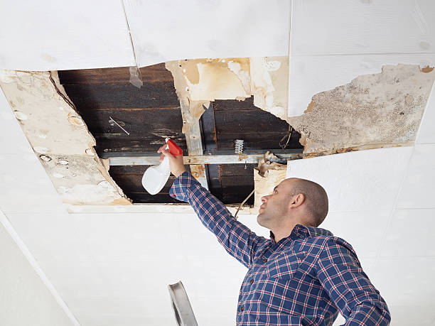 Person repairing damaged ceiling with spray bottle and ladder