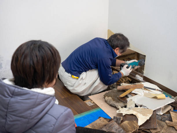 Workers repairing wall, removing damaged materials during home renovation