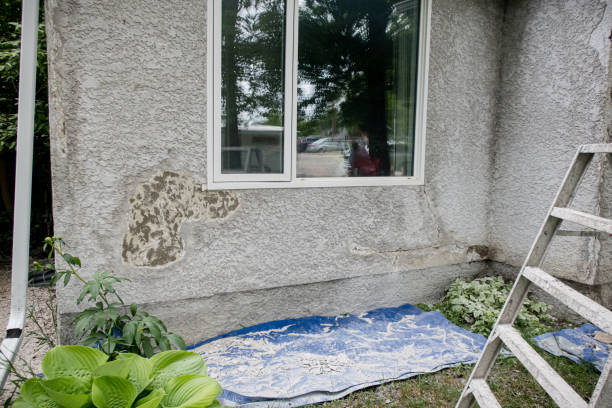 Stained wall near window with blue tarp, ladder, and green plants