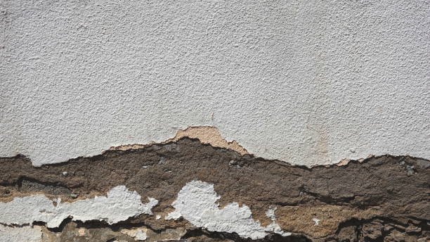 Weathered wall with peeling layers of white and brown paint