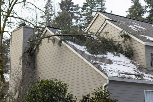 Fallen tree branch resting on snowy residential house roof